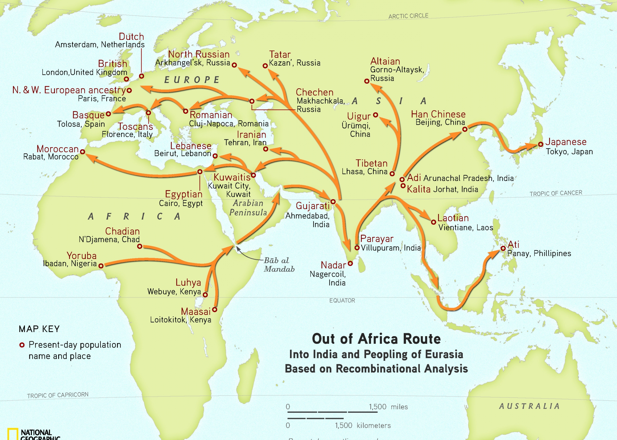 Ancient Human Migration Patterns